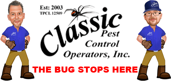 Classic Pest Control Springtown, TX